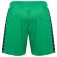 Hummel Authentic PL shortsit