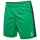 Hummel Authentic PL shorts