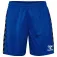 Hummel Authentic PL shorts