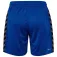 Hummel Authentic PL shorts