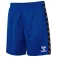 Hummel Authentic PL shorts
