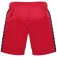 Hummel Authentic PL σορτς