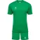 Hummel Logo Kurzarm-Set