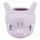 Stor Pokémon 3D Mewtwo Cup 385ml