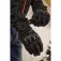 Bering Guants Profil