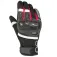 Bering Gants Raid