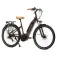Granville E-Absolute 34 Plus Altus elektrische fiets