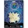 4m Stella Brillante