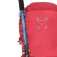 Altus Cirque 10L backpack