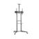 Ewent Supporto per display EW1539 con ruote