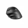 Natec Crake 2 Wireless Ergonomic Mouse