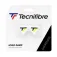Tecnifibre Logo Damp 테니스 댐퍼