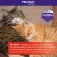 Feliway + Ricarica Diffusore Friends 48ml