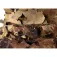 Invadergear Leaf Boonie Hat