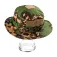 Invadergear Mod 3 Junglehat
