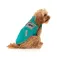 Fuzzyard Fitzroy 犬のジャケット