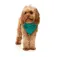 Fuzzyard Giacca per cani Fitzroy