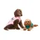Fuzzyard Fitzroy 犬のジャケット
