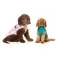 Fuzzyard Fitzroy 犬のジャケット