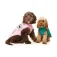 Fuzzyard Fitzroy 犬のジャケット