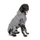 Fuzzyard Flipside Hunde regntøj