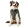 Fuzzyard Mosman Puffer 犬のジャケット
