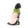 Fuzzyard Ormond 개 비옷