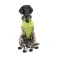 Fuzzyard Ormond Dog Raincoat