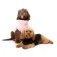 Fuzzyard Turtle Teddy 개 재킷