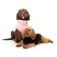 Fuzzyard Turtle Teddy hundegenser