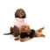 Fuzzyard Turtle Teddy dog jacket