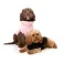 Fuzzyard Turtle Teddy dog jacket