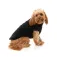 Fuzzyard Turtle Teddy dog jacket