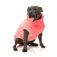 Fuzzyard Turtle Teddy dog jacket