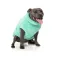 Fuzzyard Turtle Teddy dog jacket