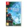 Nintendo Switch Vernal Edge