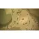 Nintendo Switch Colt Canyon