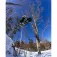 Rome Taula de snowboard Muse