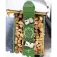 Rome Stale Crewzer snowboard