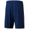 Erima Team Sportshorts