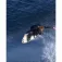 Ocean & earth Monkey Magic Centre Deck Surf traction pad 6 units