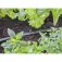 Gardena 90º Microdiffuser 5 units
