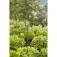 Gardena Microdiffusore Extension 22.8 cm