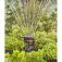 Gardena Aspersor OS90