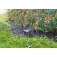 Gardena Sensor de Humedad Inteligente