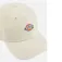 Dickies Hardwick cap