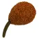 Maver Plom de carpfishing Flat Pear