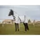 Equitheme Protector de cuello para caballo Mesh