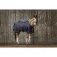 Equitheme Couverture d´été pour cheval Micro Mesh