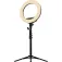 Streamplify 14 ring light